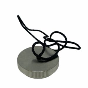 Zodiac Nickel Plated Valve Cap - Z2108
